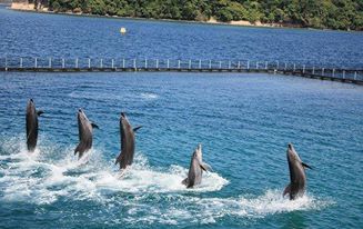 OCEAN ADVENTURE